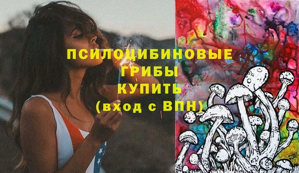 спайс Пролетарск